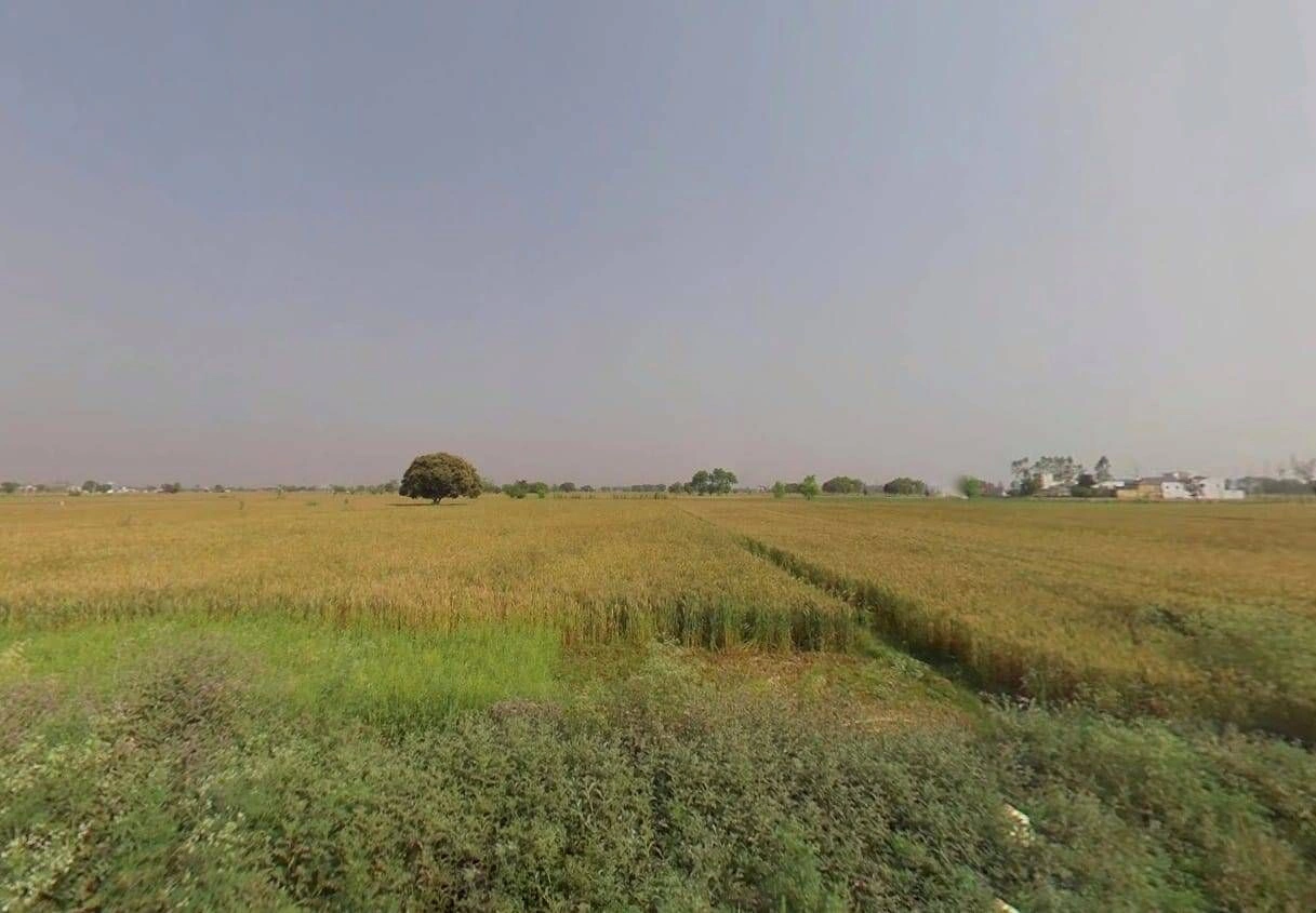 JMM2+CCF, Dhaulana, Uttar Pradesh 245301, India