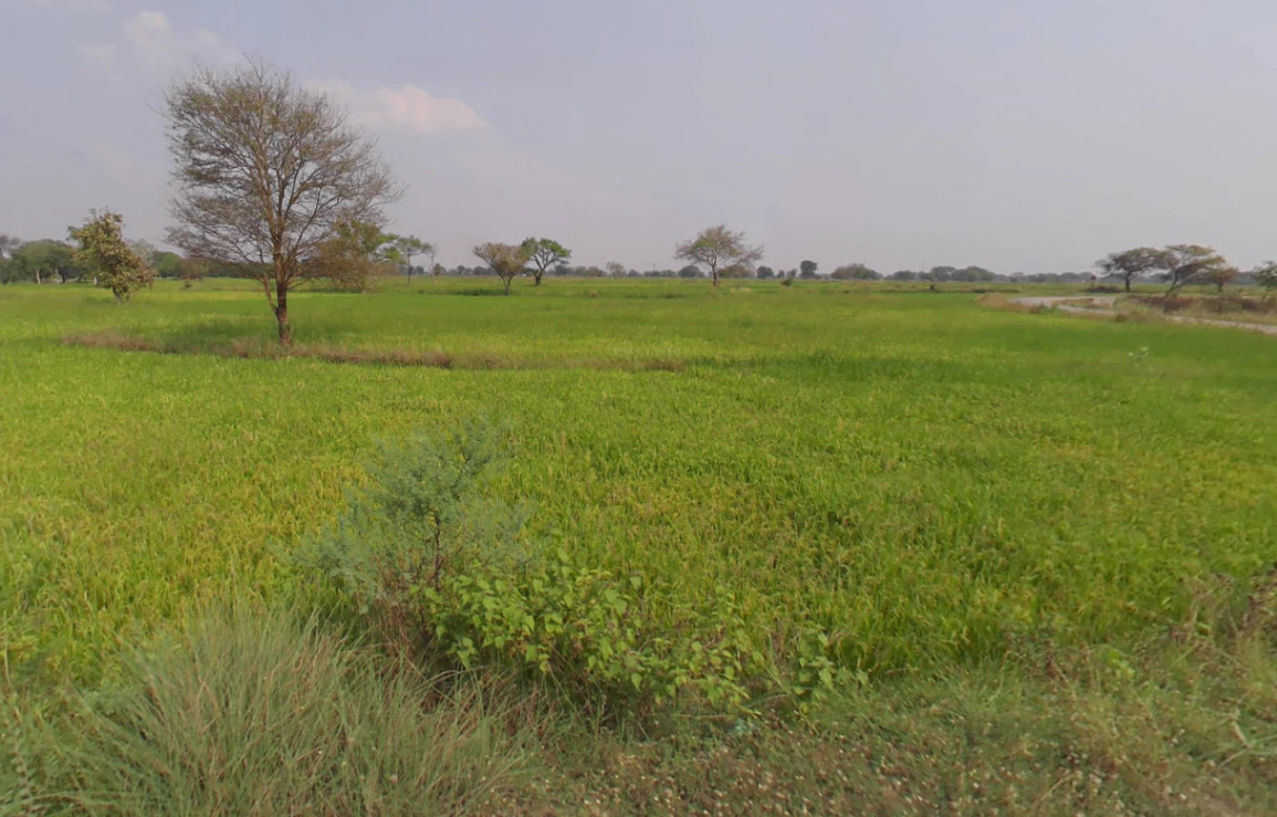 Mudiyadih, Chhattisgarh 493449, India