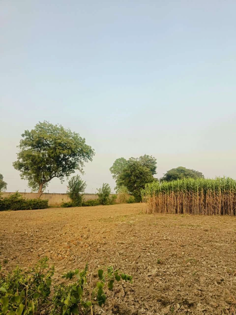 Bera, Mathura, Uttar Pradesh 281205, India