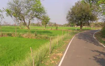 Matiya, Chhattisgarh 491225, India preview 2
