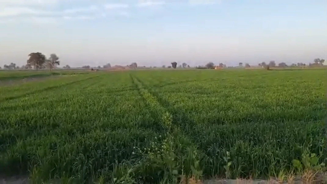 75GP+XRM, Kuliaka, Haryana 122103, India