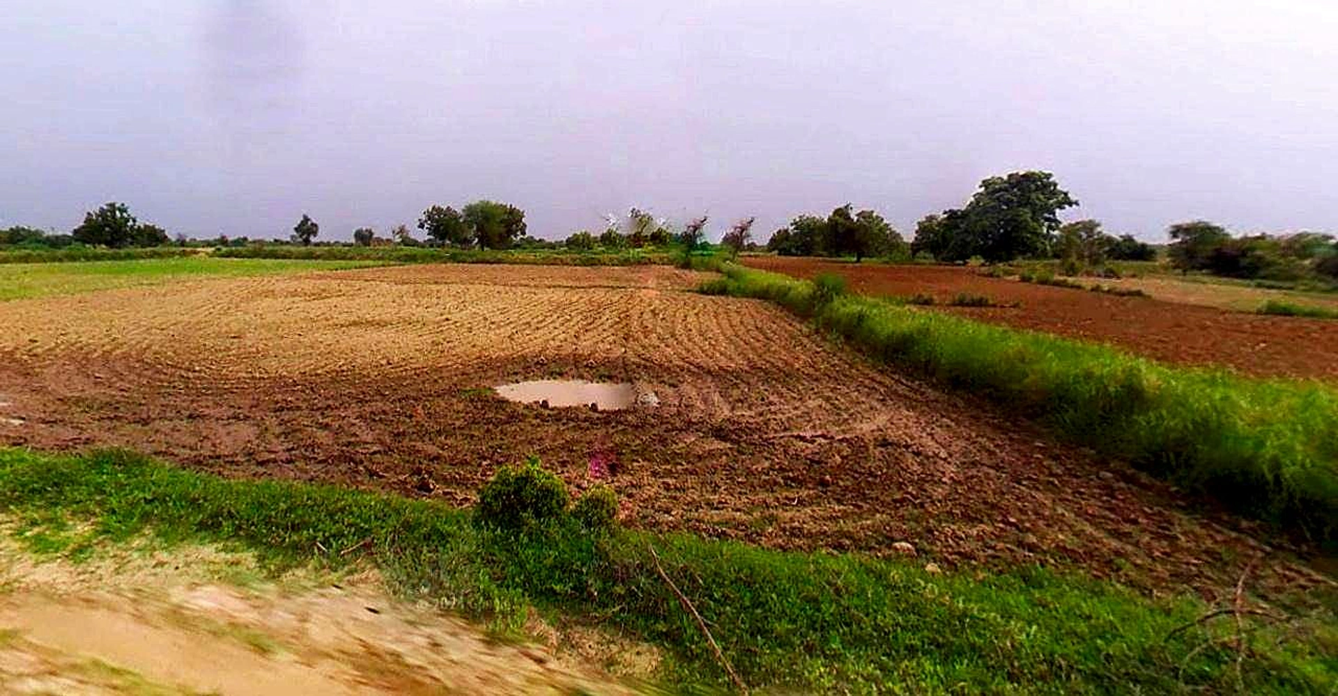 Chaumuhan, Uttar Pradesh 281406, India