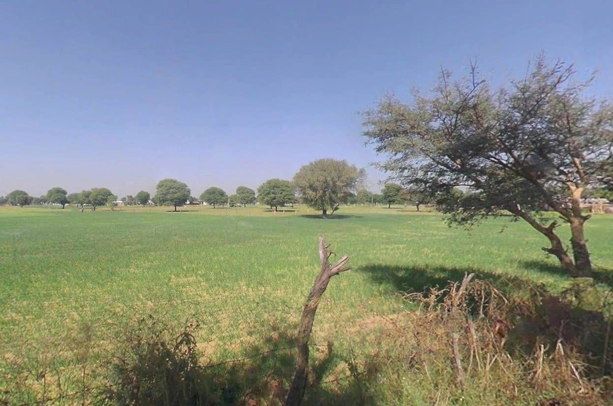 Kaladera, Rajasthan 303801, India