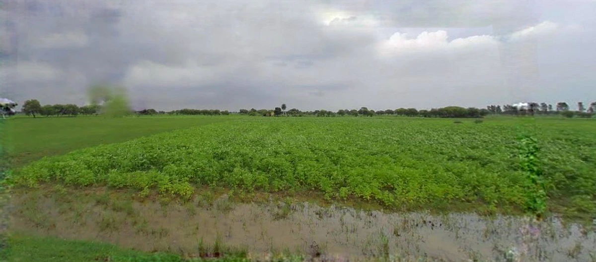 Khatoo, Rajasthan 332602, India
