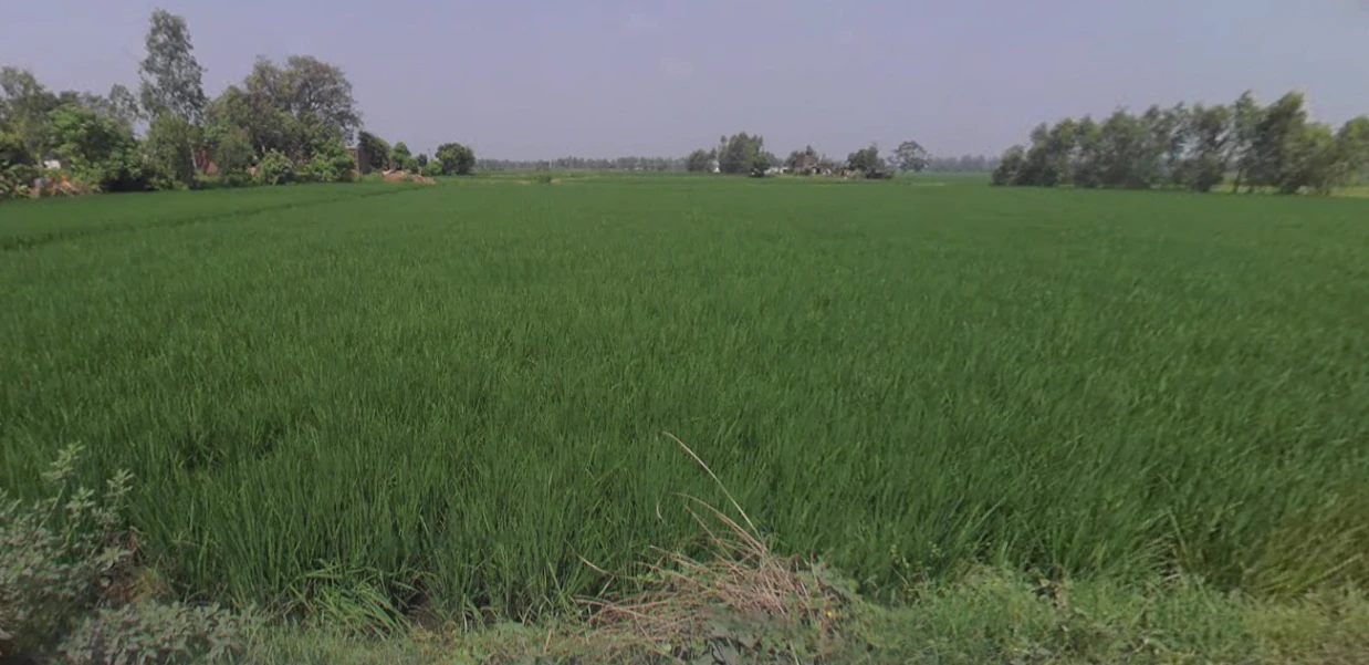 Kanth, Uttar Pradesh 244501, India