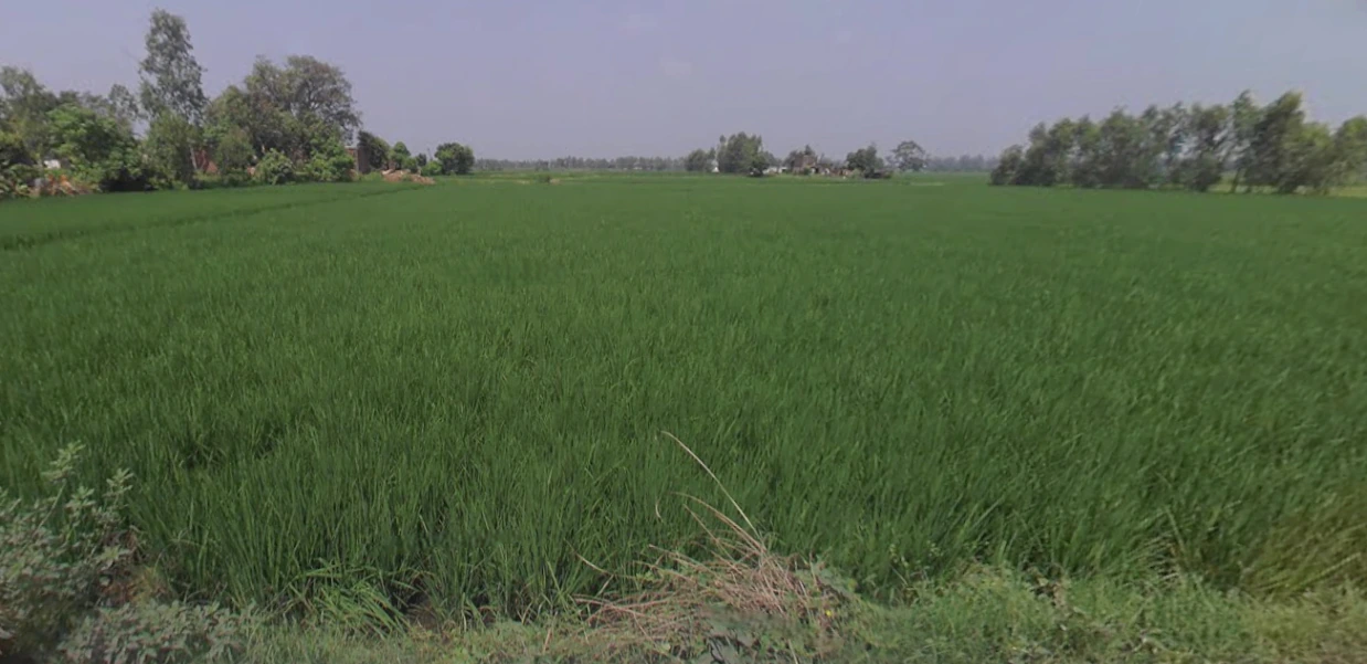 Kanth, Uttar Pradesh 244501, India