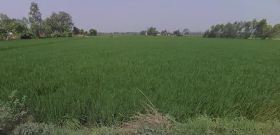 Kanth, Uttar Pradesh 244501, India preview 3