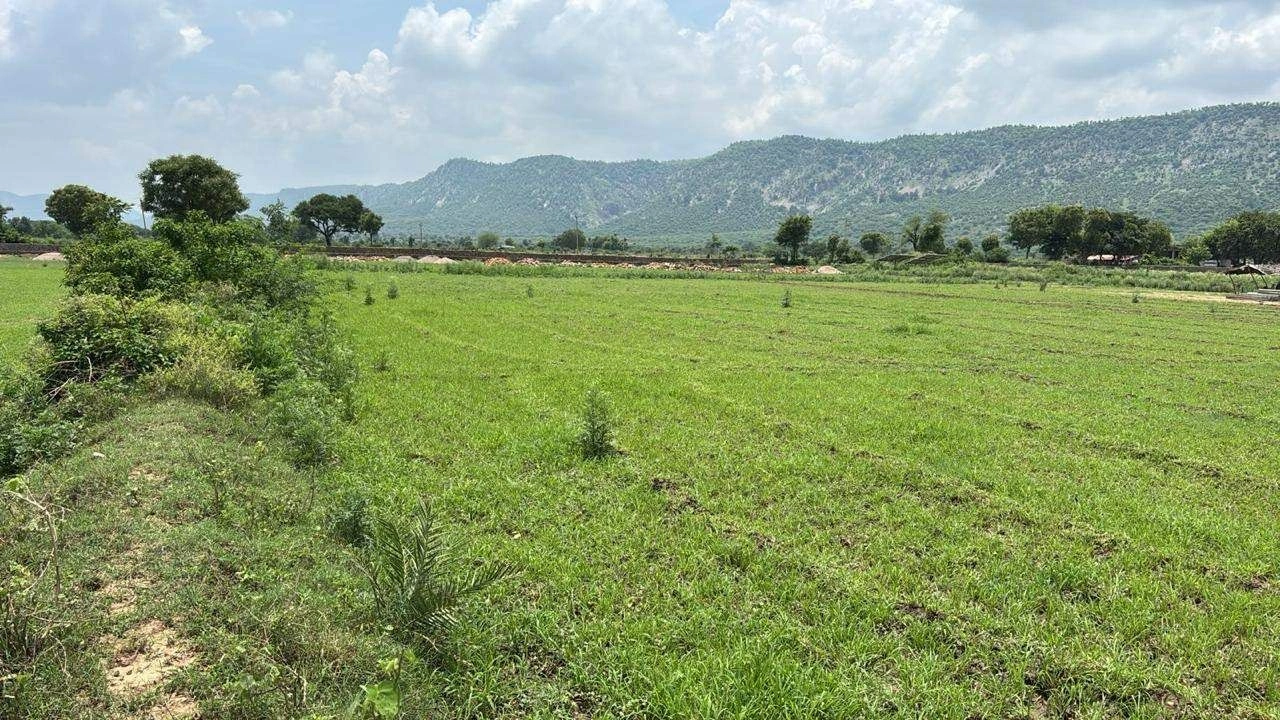 HFWC+W9 Rundh Sundarwas, Rajasthan, India