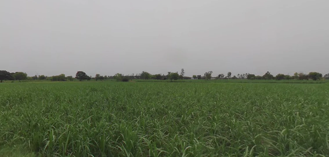 Baral, Uttar Pradesh 203408, India