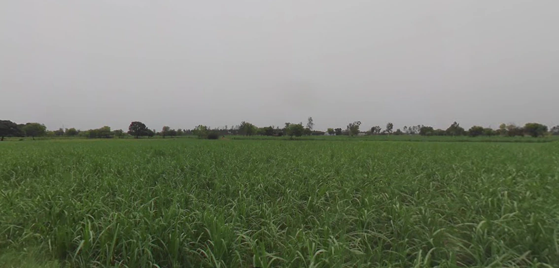 Baral, Uttar Pradesh 203408, India