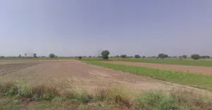 Basanti, West Bengal 743312, India preview 3