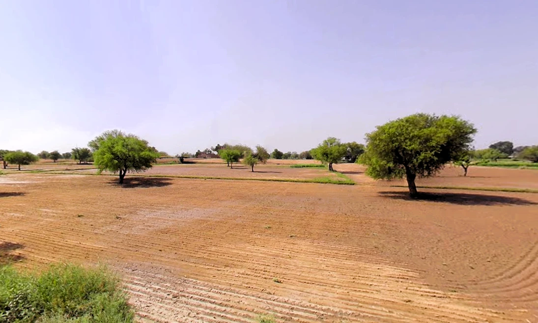 Koka, Haryana, India