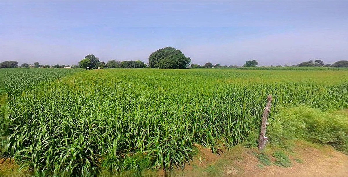 Vidisha, Madhya Pradesh 464001, India
