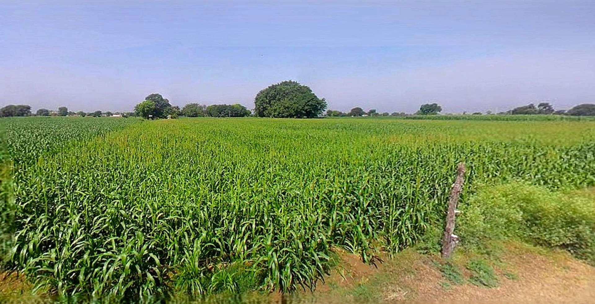 Vidisha, Madhya Pradesh 464001, India