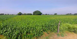 Vidisha, Madhya Pradesh 464001, India preview 2