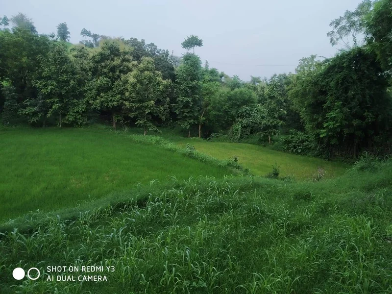 Bhatwari, Uttarakhand 249135, India preview 2