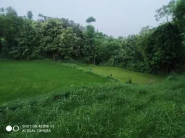 Bhatwari, Uttarakhand 249135, India preview 2