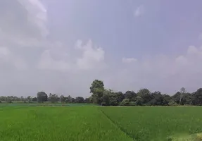 Madhotanda, Uttar Pradesh 262122, India preview 3