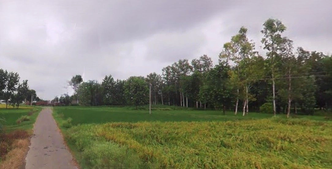 Jansath, Uttar Pradesh 251314, India