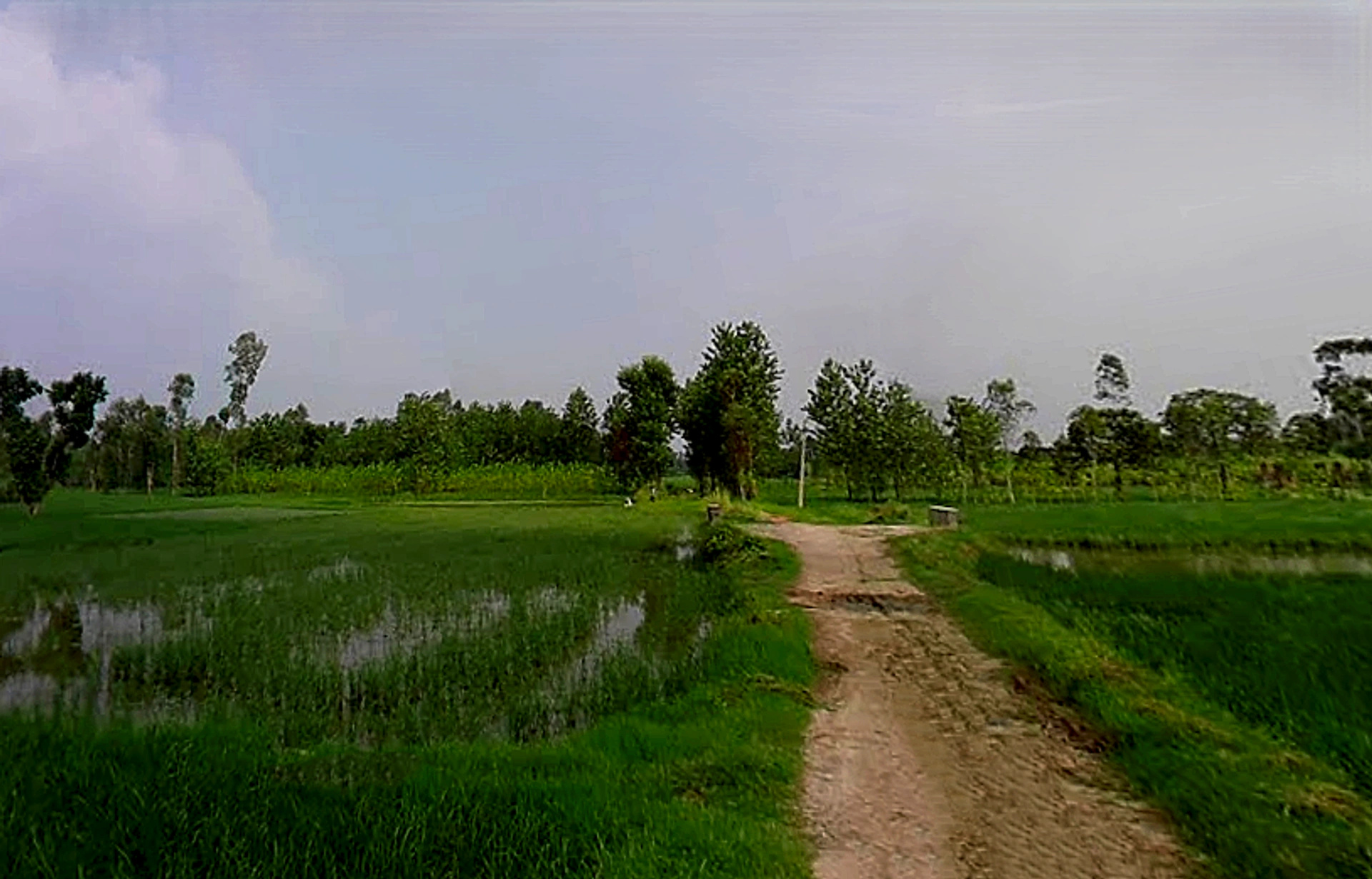 Chataki, Uttar Pradesh 247121, India