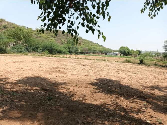 8QQ8+4GF, Khohra, Kajota, Rajasthan 321633, India