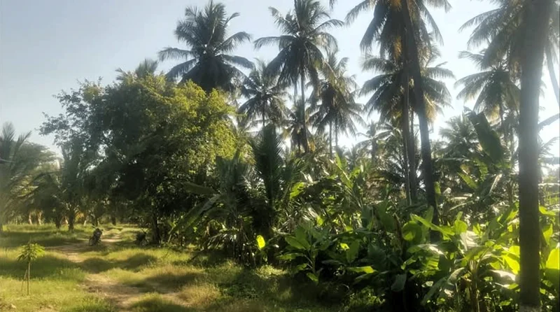 Nanjangud, Karnataka, India preview 2