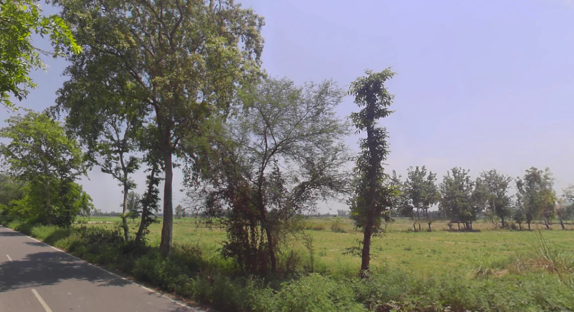 Tanda, Uttar Pradesh 244925, India