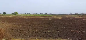 Harda, Madhya Pradesh 461331, India preview 2