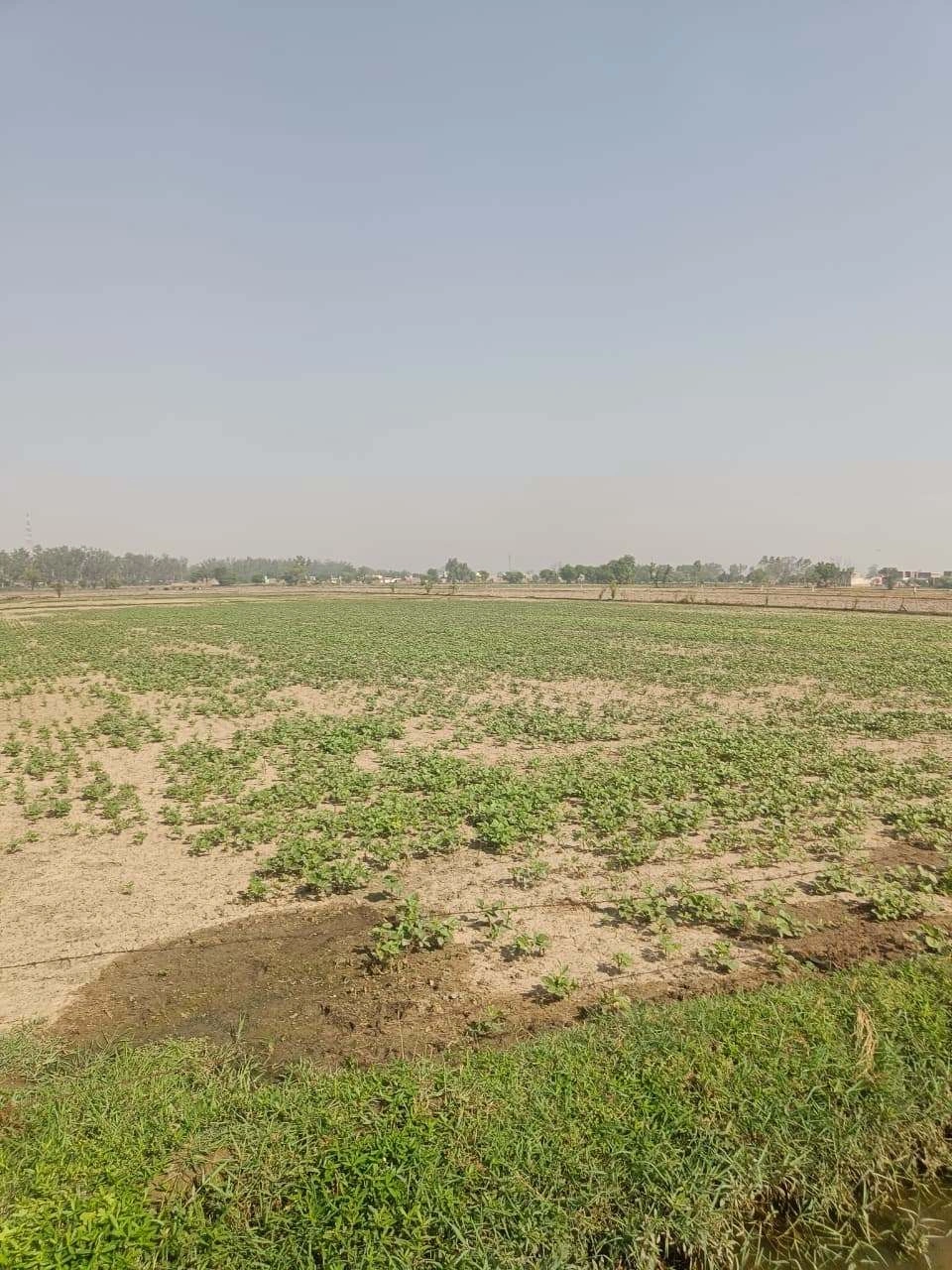 Ajhai Kalan, Uttar Pradesh 281406, India