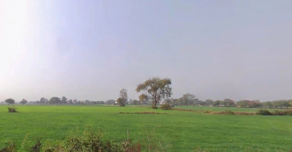 Seoni Malwa, Madhya Pradesh, India