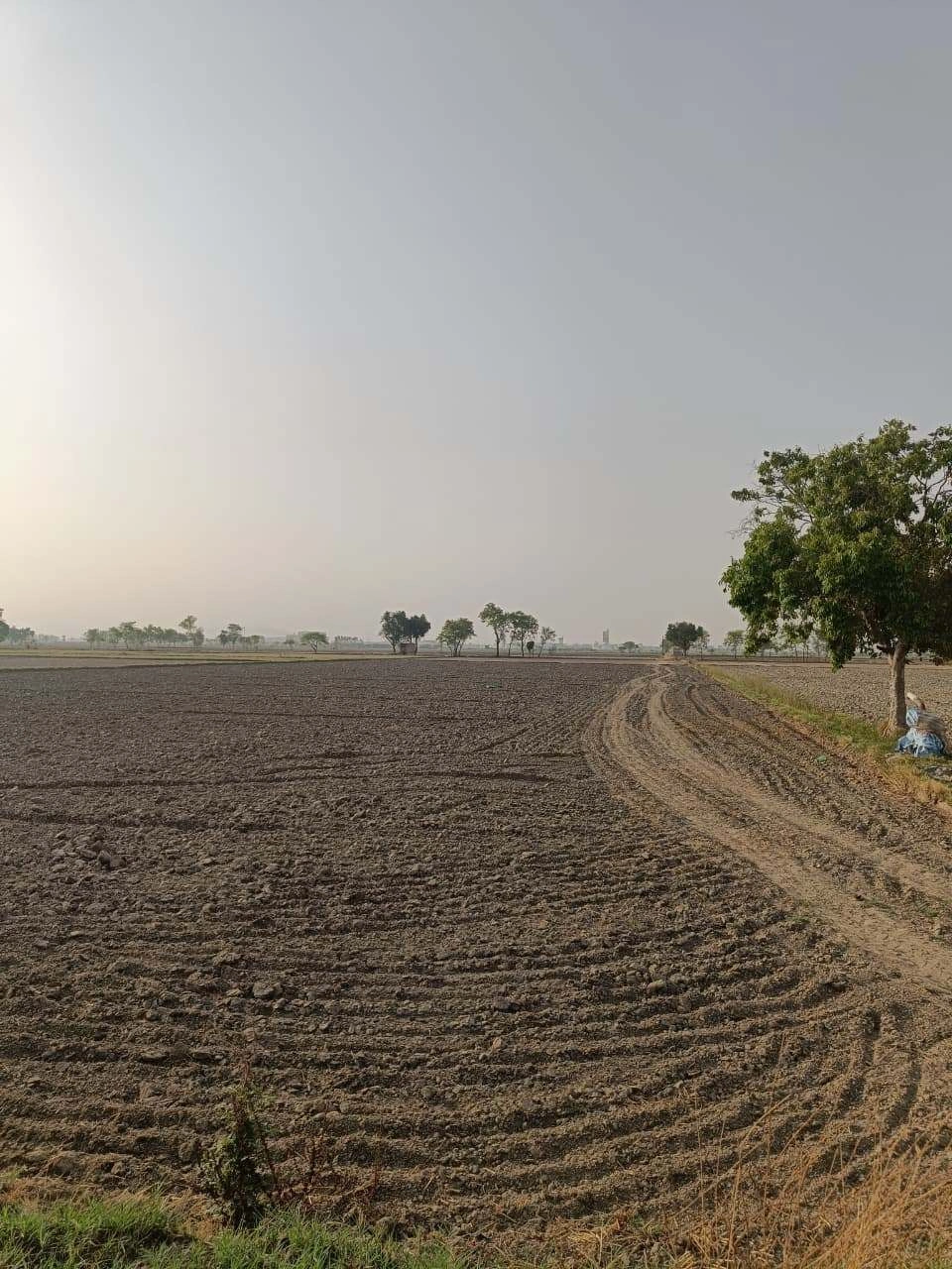 Tentigaon, Uttar Pradesh, India