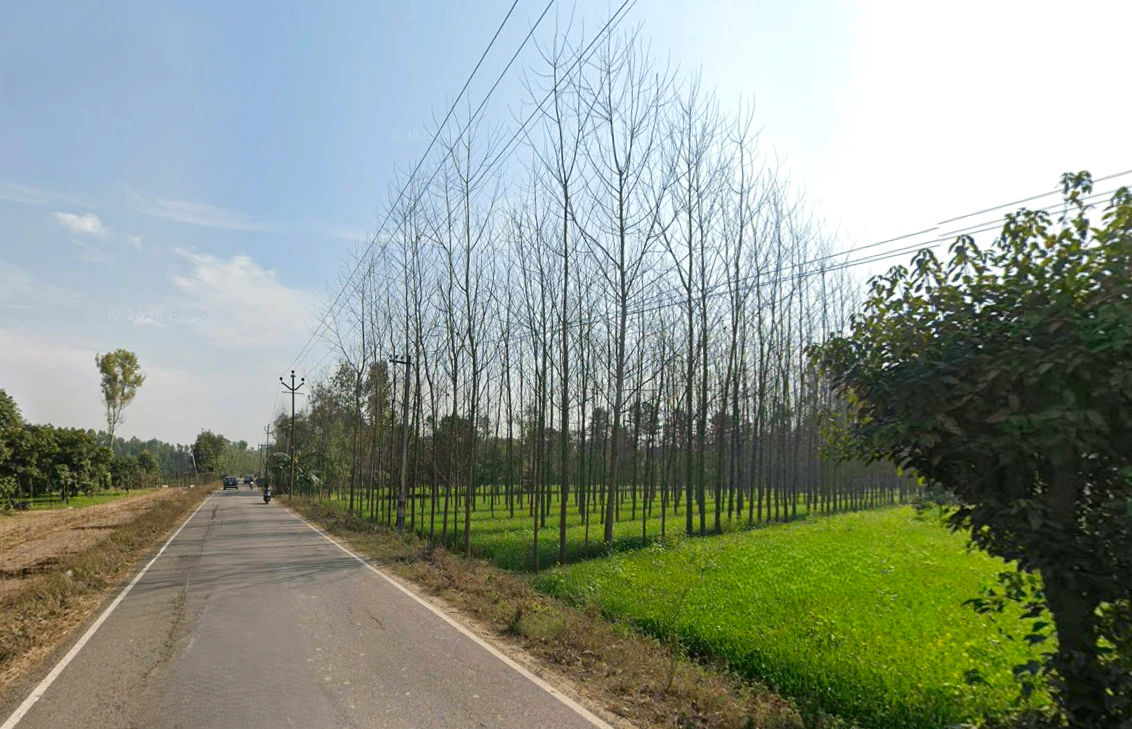Mata Shakumbhari Devi Rd, Alipur Alis Bhagwala, Uttar Pradesh, India