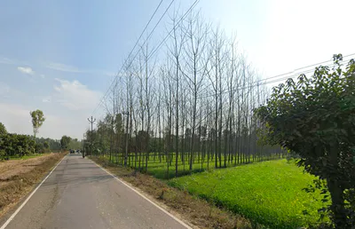 Mata Shakumbhari Devi Rd, Alipur Alis Bhagwala, Uttar Pradesh, India preview 3