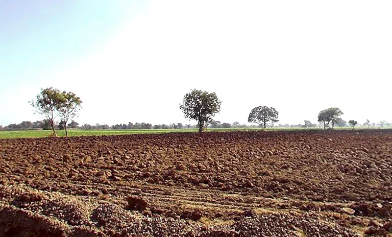 Huzur, Madhya Pradesh 462001, India preview 3