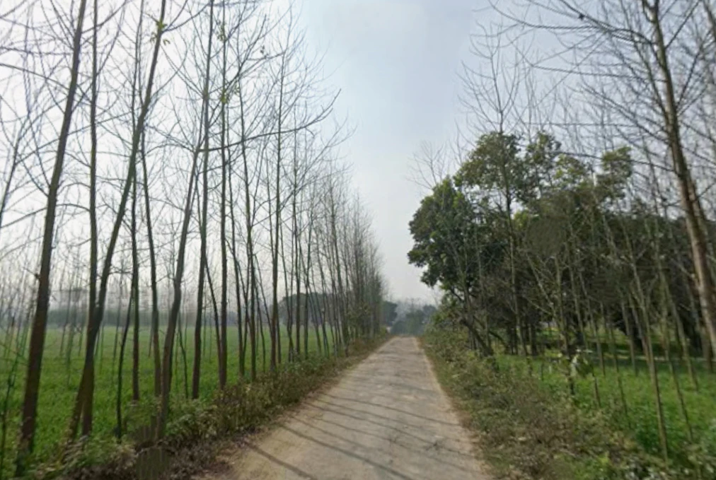 Behat, Uttar Pradesh 247121, India