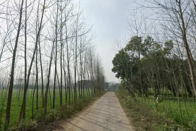 Behat, Uttar Pradesh 247121, India preview 2