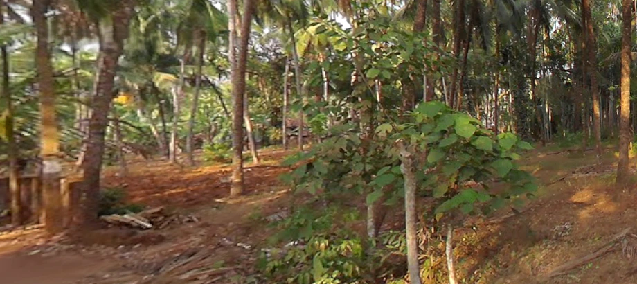 V3QG+F55, Kizhakkekara Road, Valanchery, Kerala 676552, India
