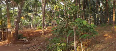 V3QG+F55, Kizhakkekara Road, Valanchery, Kerala 676552, India preview 3