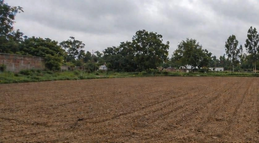 Barhana, Uttar Pradesh, India