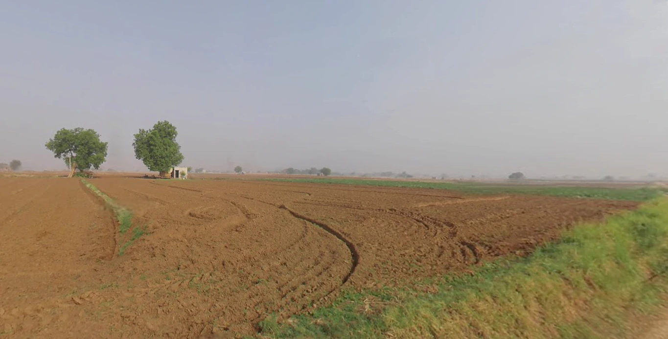 Shadipur, Julana, Haryana 126101, India