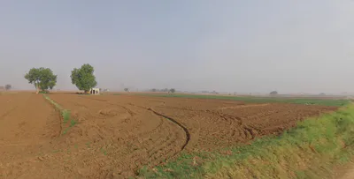 Shadipur, Julana, Haryana 126101, India preview 3