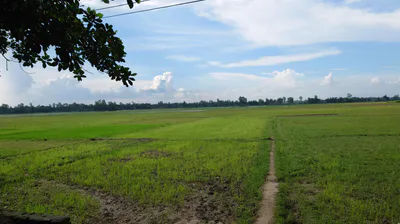 Jaora, Madhya Pradesh 457226, India preview 2