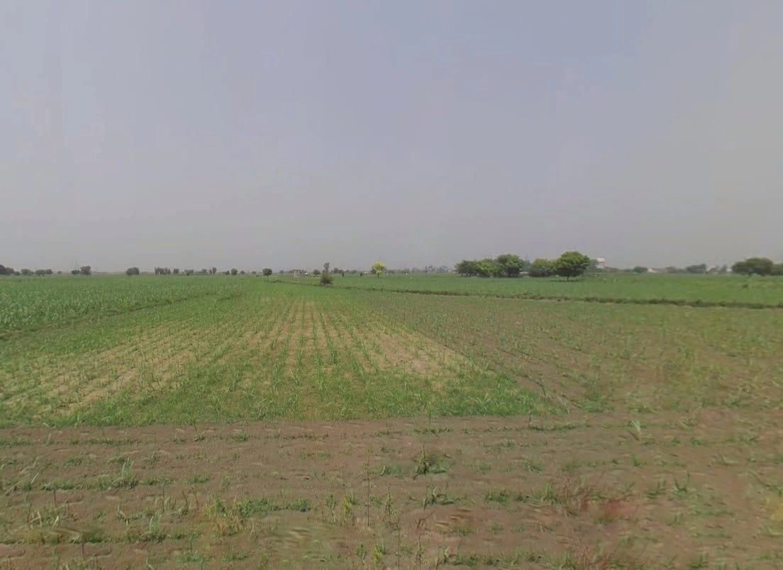 FPJH+94 Jatpur, Rajasthan, India preview 2