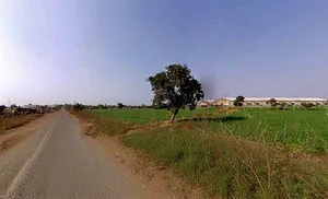 96MW+X7G, Suwarkota, Madhya Pradesh 465001, India preview 3