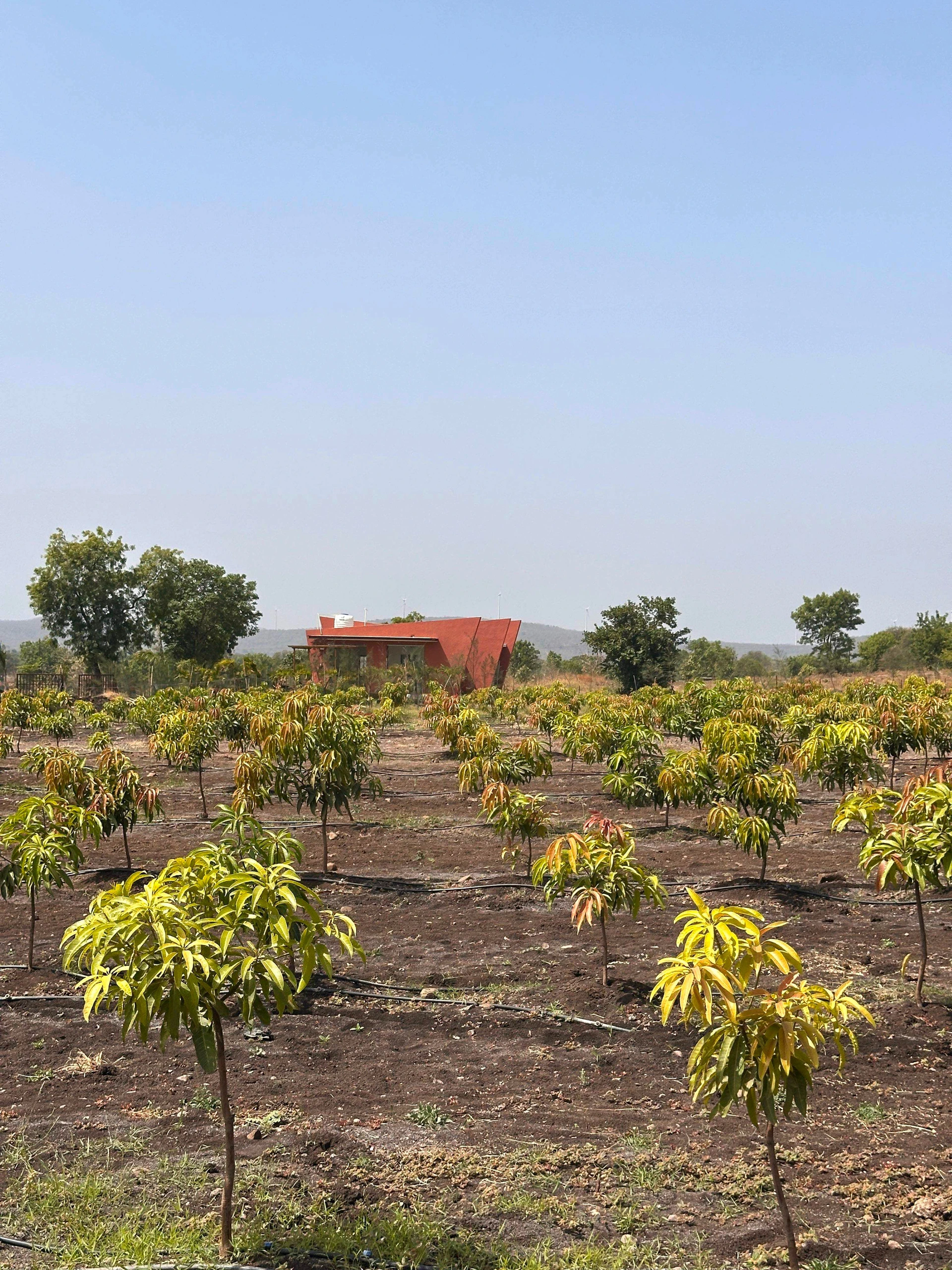 Q6CJ+WQ8, Dehariyasahu, Madhya Pradesh 455221, India