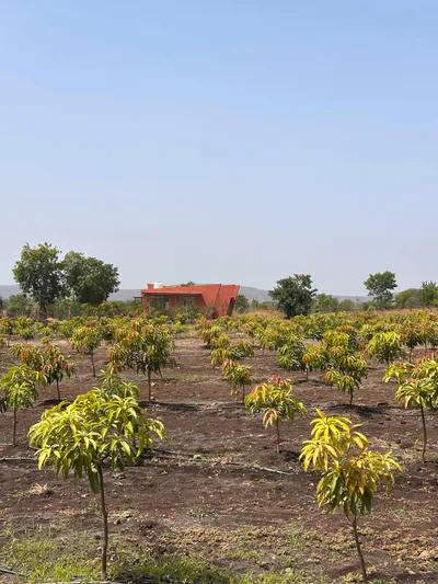 Q6CJ+WQ8, Dehariyasahu, Madhya Pradesh 455221, India preview 2
