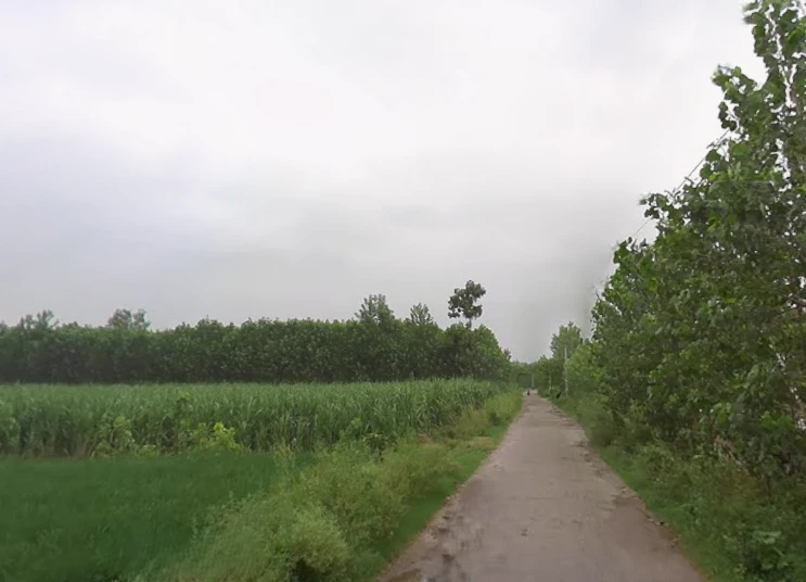 Behat Dehat, Uttar Pradesh 247121, India