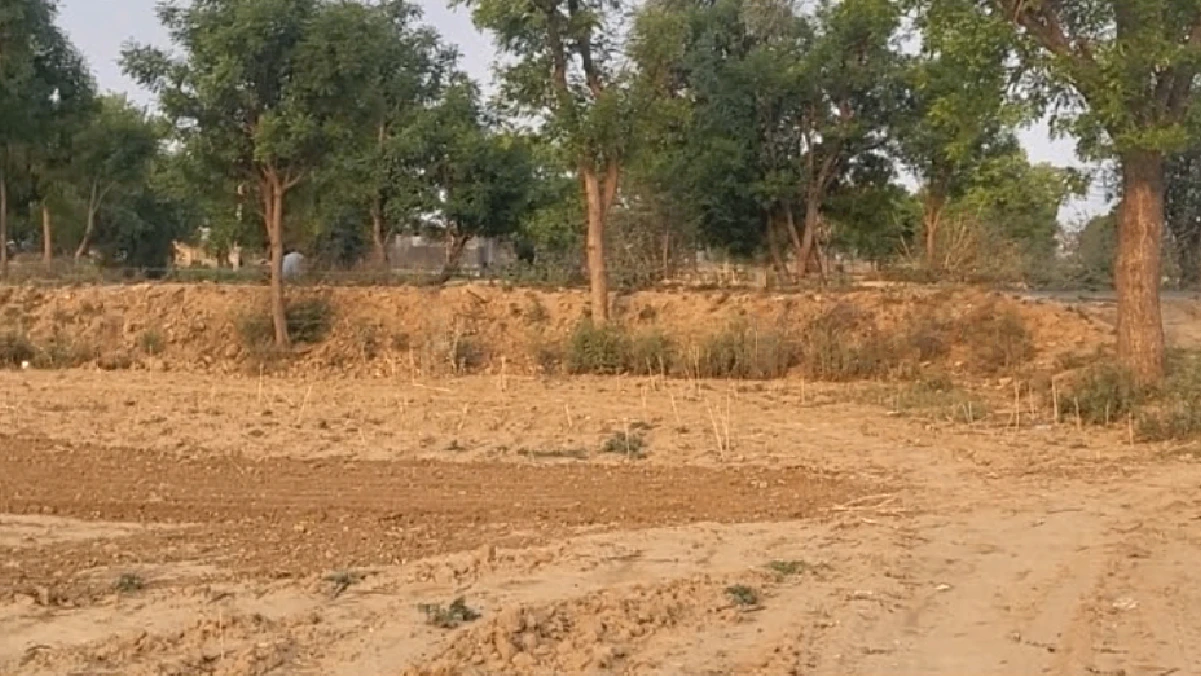 Sector 26A, Jind Byp, Jind, Teg Bahadurpur, Haryana 126102, India