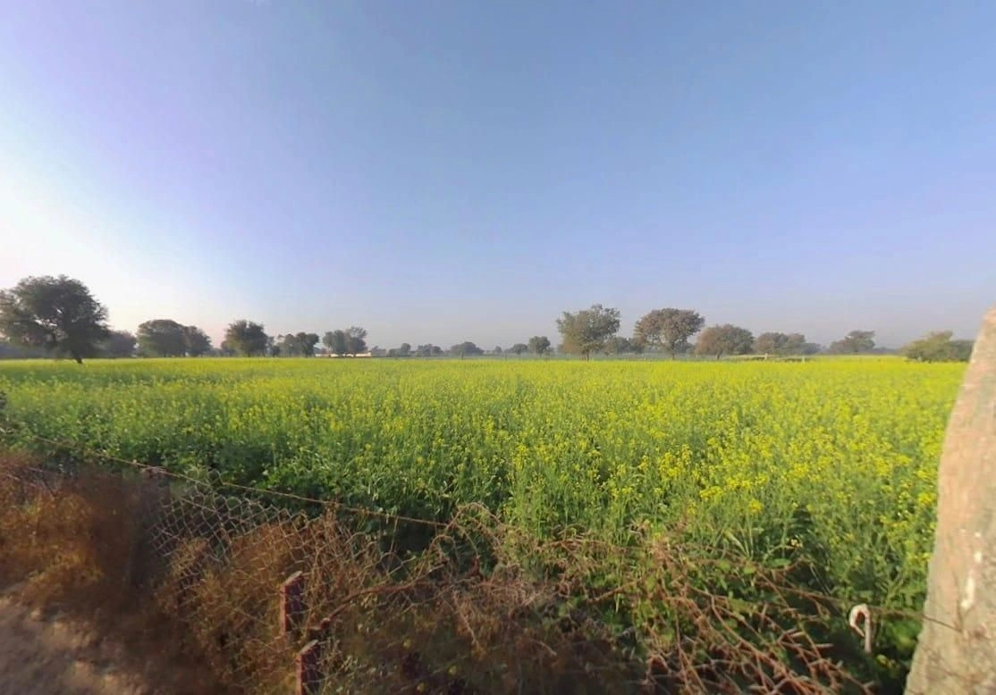 Nahariya ka bass, PV64+J4X, Jai Anandpura, Rajasthan 303903, India