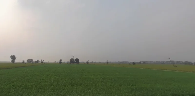 Tranja, Gujarat 387530, India preview 2